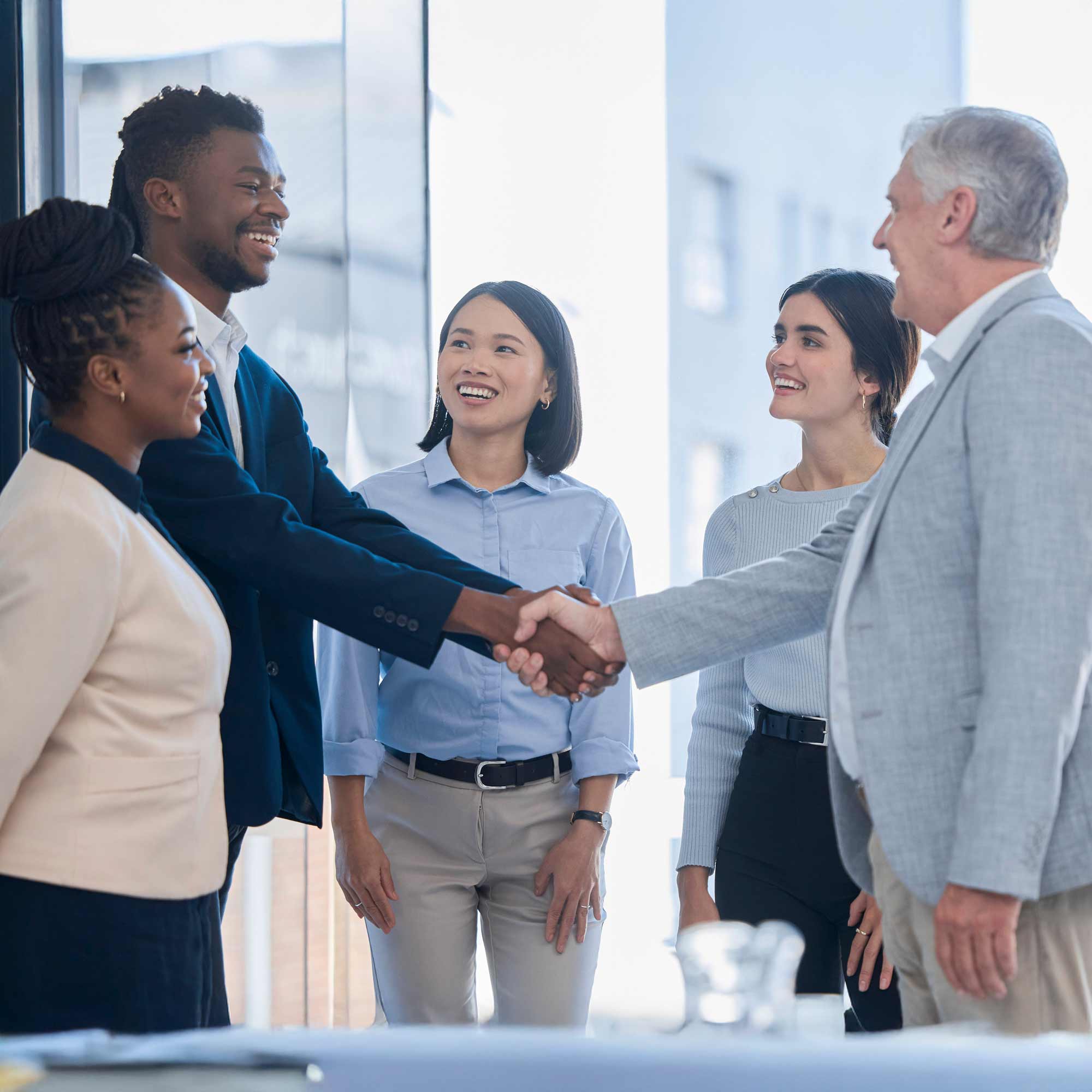 Multi-Business Halo Effect